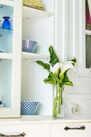 Виллы Aspida Guest House Котор Вилла с 3 спальнями-74